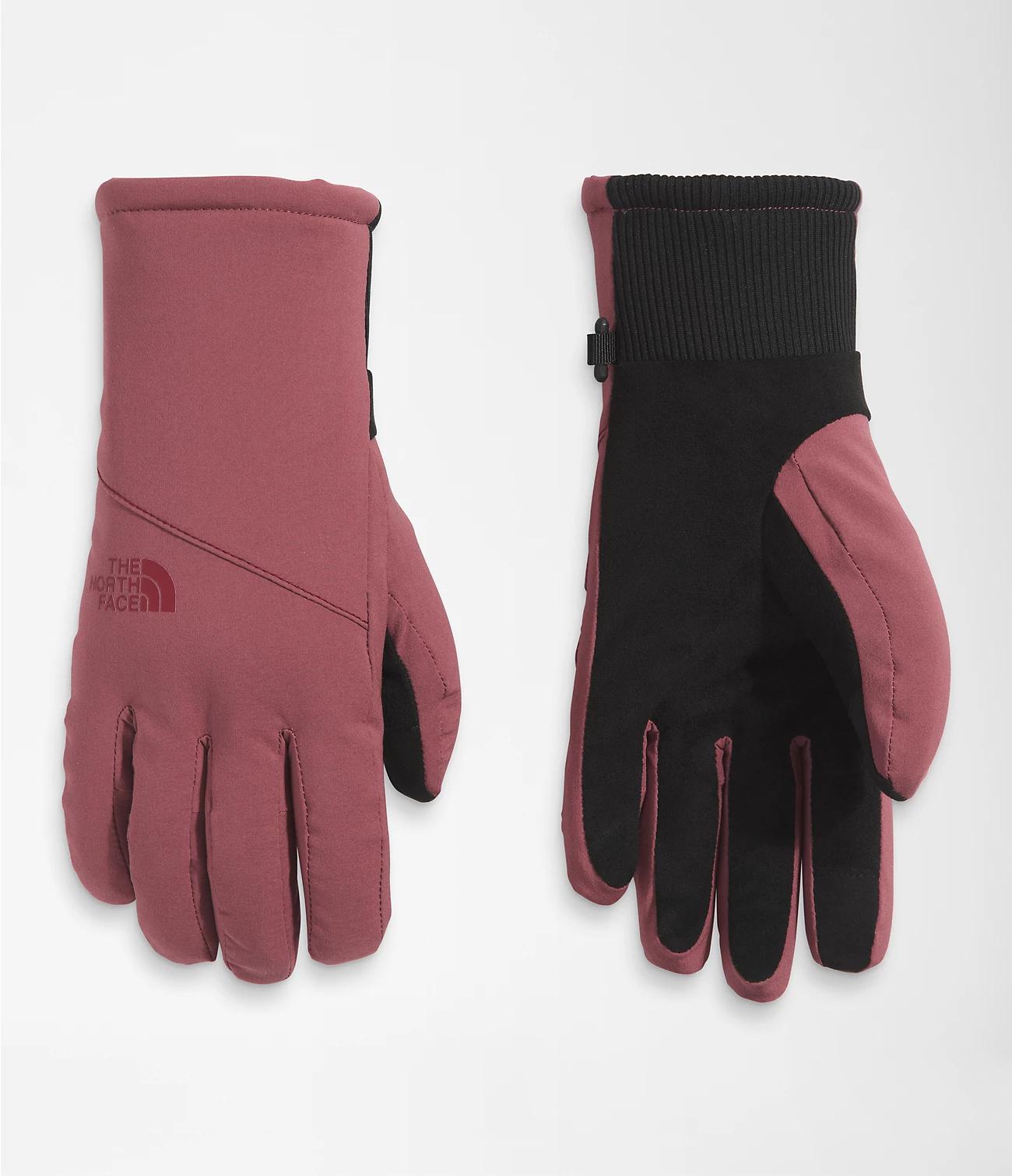 the north face shelbe raschel gloves