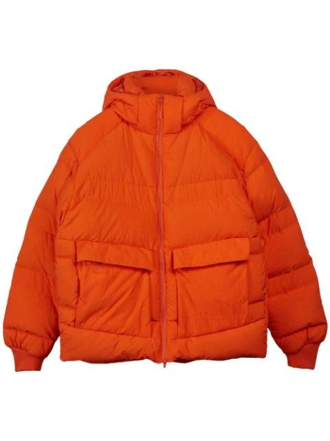 hoodied puffer jacket by Y3 | jellibeans
